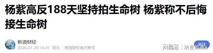 世界杯官网入口-看完《小城大事》再看《生命树》，我只想说：没有对比就没有伤害